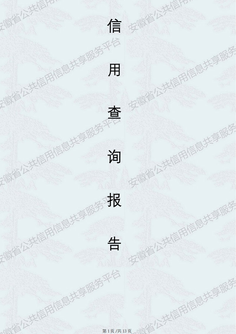 信用安徽-信用报告