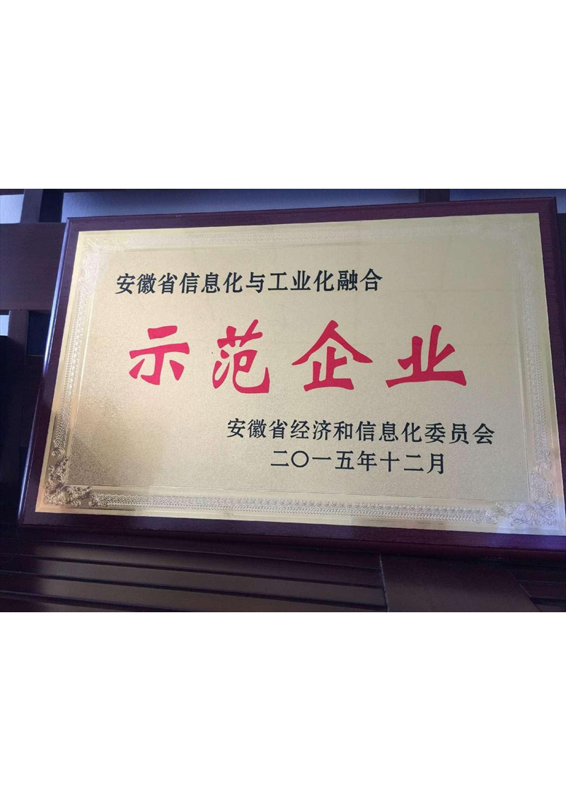 省两化融合示范企业