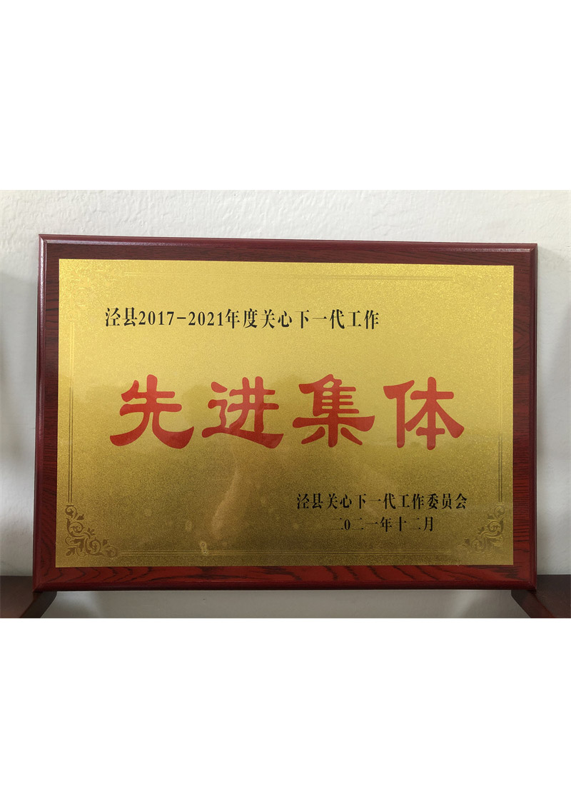 泾县关心下一代工作先进集体