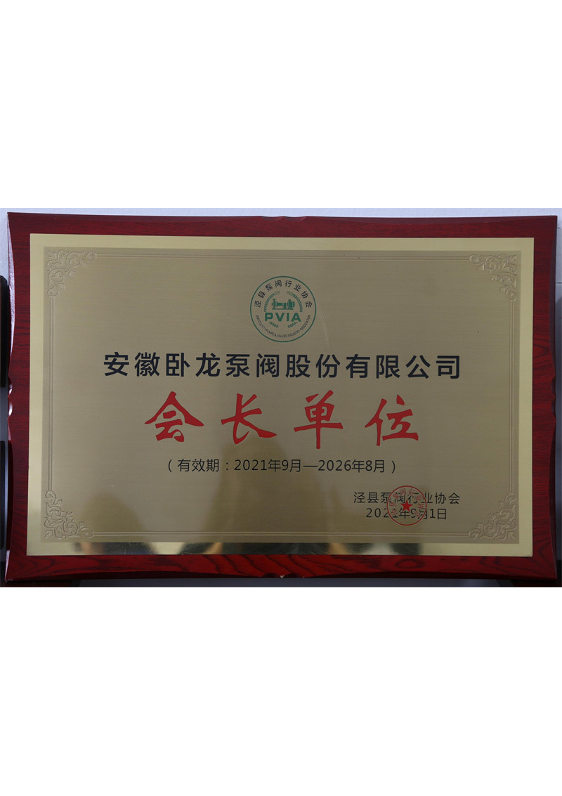泾县泵阀行业协会会长单位